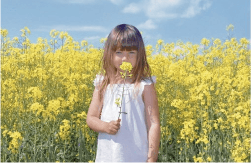image d'une personne ayant une vision normal 
