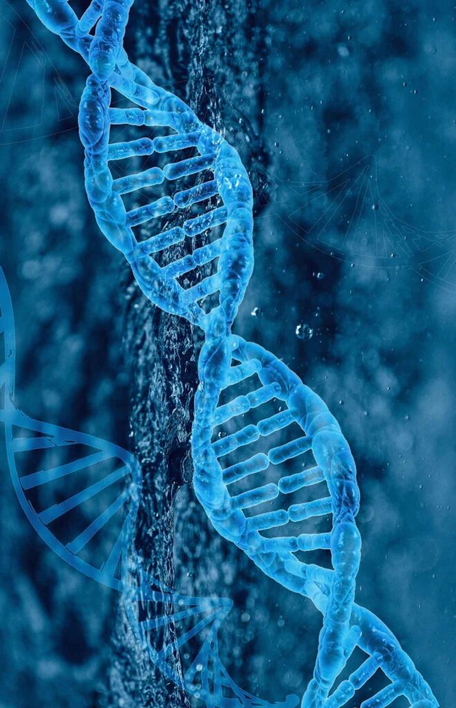 Image montrant un chromosome